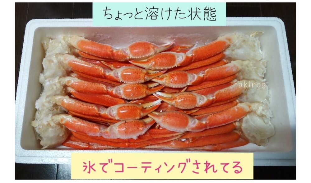 マルゲン後藤水産で実際に届いたカニ