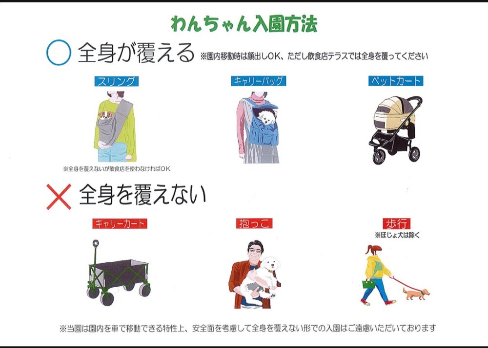 東京ドイツ村での犬連れ