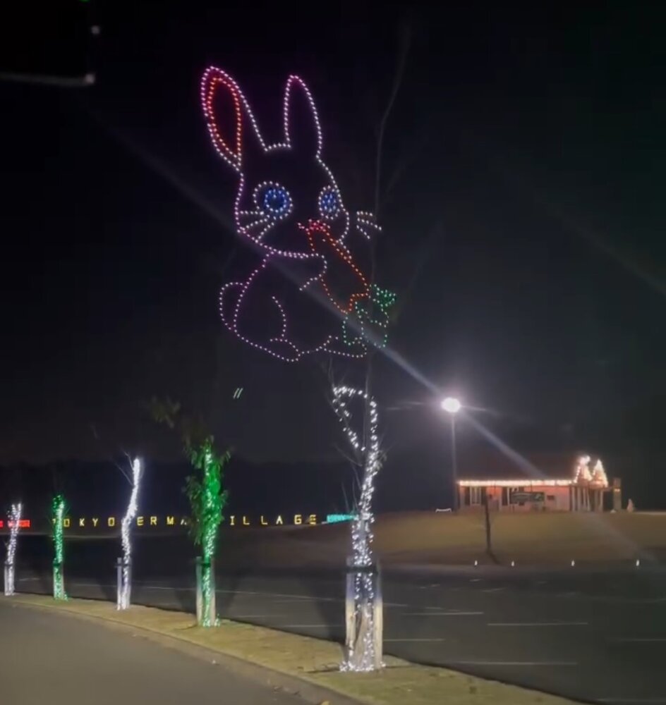 ドイツ村イルミネーションドローン