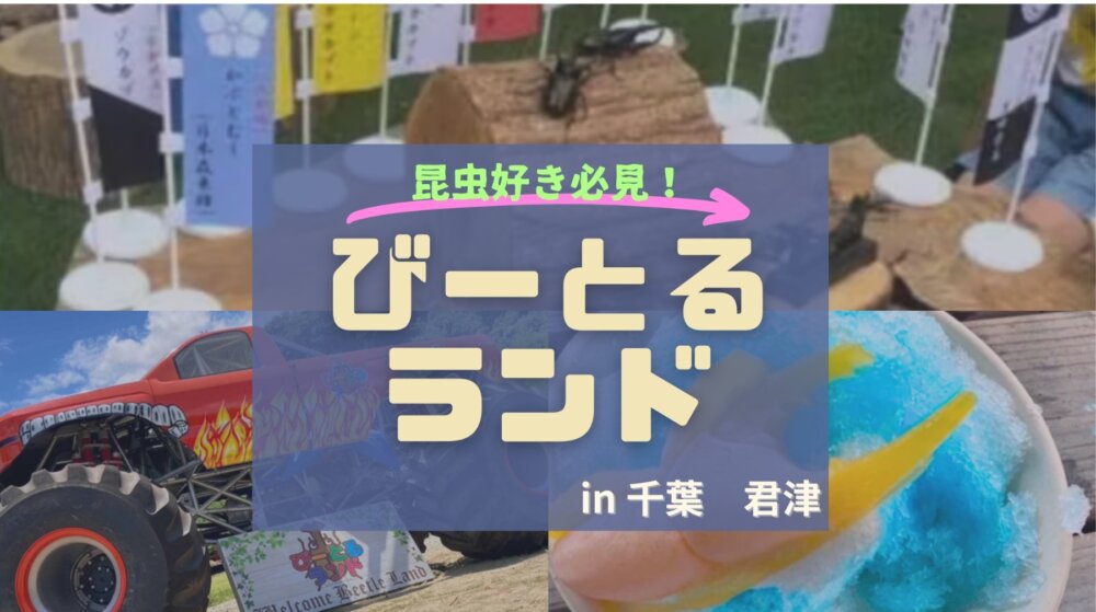 びーとるランド口コミレビュー