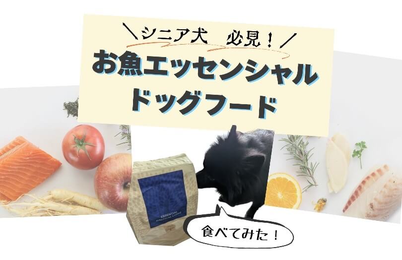お魚エッセンシャルドッグフードシニア犬にオススメ