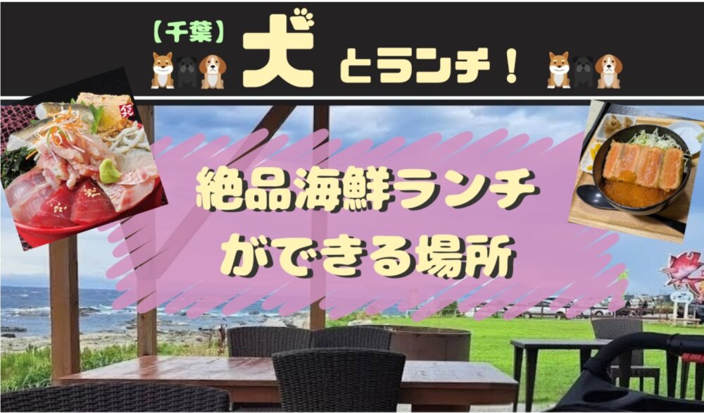 千葉で海鮮が食べられる犬連れOKのお店