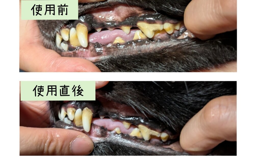 マジックゼオ使用直後