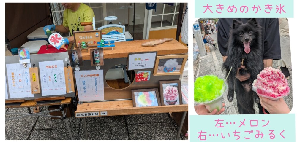 勝浦朝市　かき氷