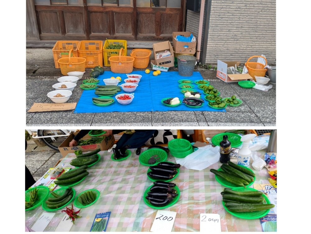 勝浦朝市　野菜　安い
