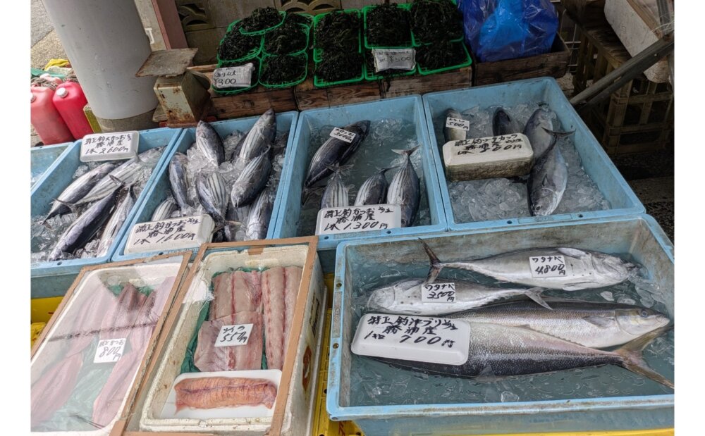 勝浦朝市　かつお