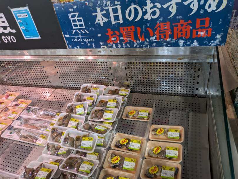 ヤマト水産君津青空ジャンボセンター　本日のおすすめ魚